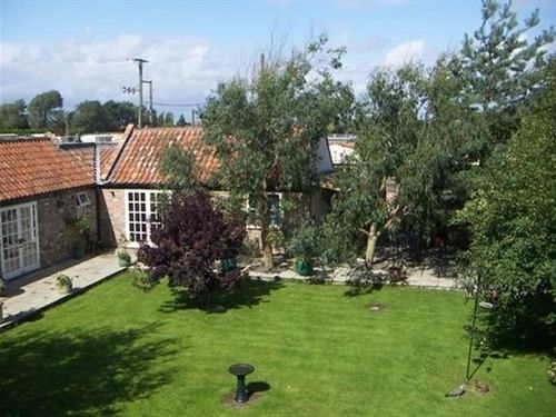 Yew Tree House - B&B Burnham-on-Sea Buitenkant foto